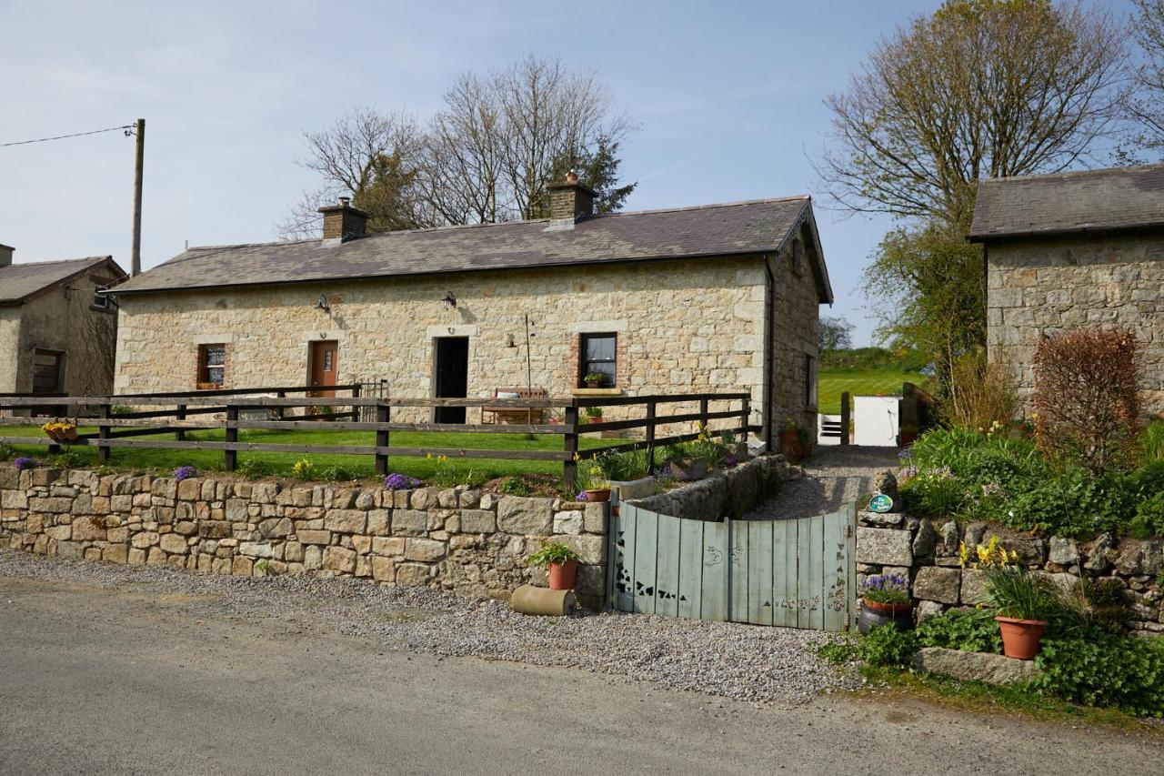 Kilquiggan Cottages Coolkenno Eksteriør bilde